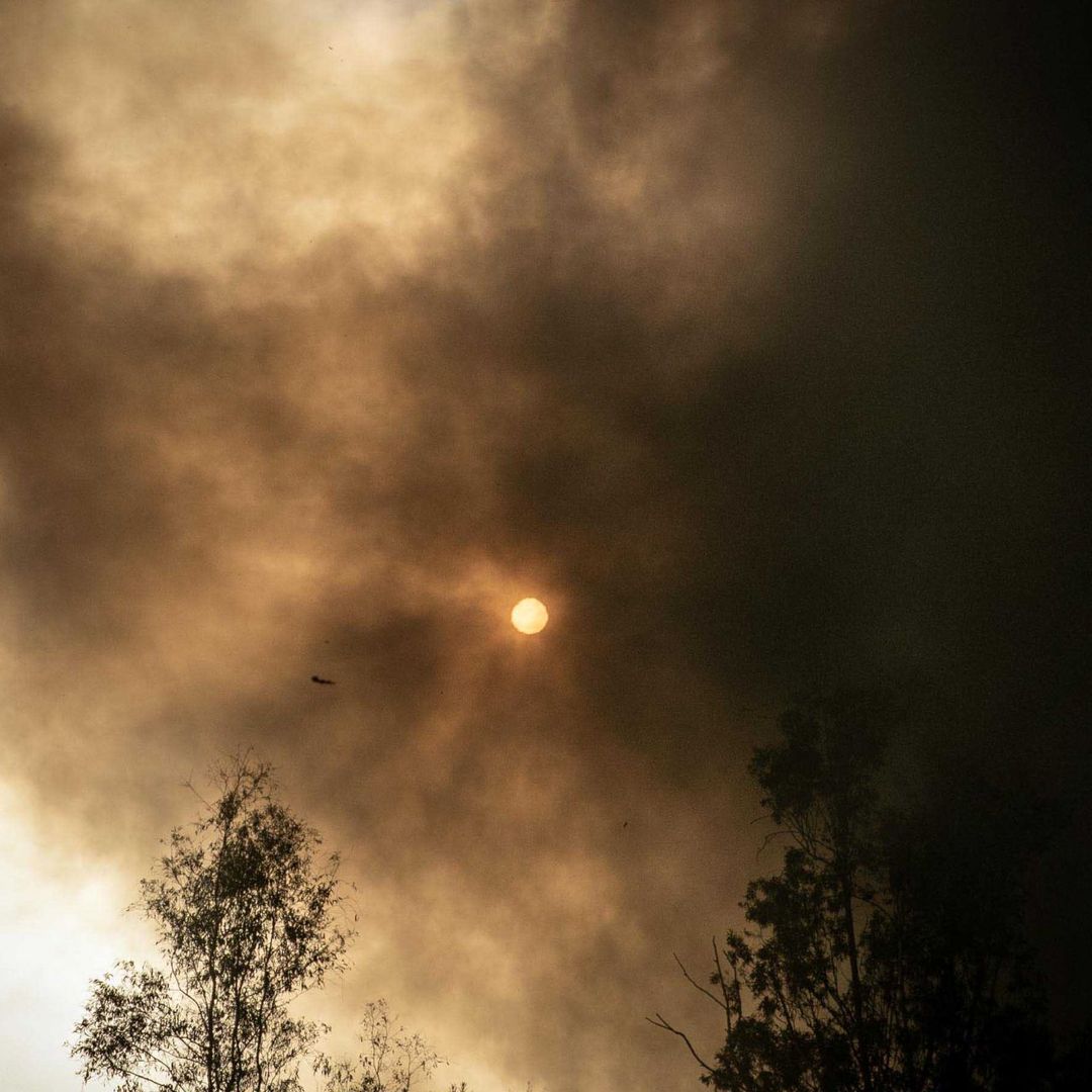 Se Registra un Incendio en la Colonia Renacimiento, al Sur de Mérida
